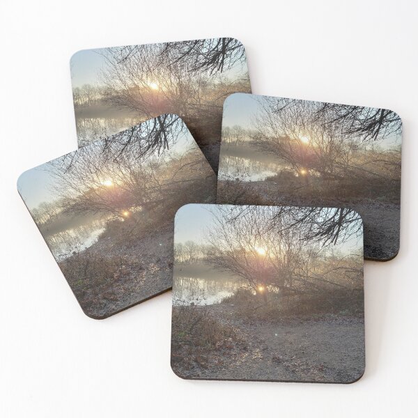 Item preview, Sunlight Through Branches and Mist designed and sold by RotondoArt.