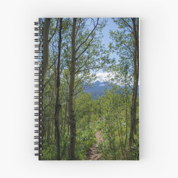 Item preview, Colorado Trail Surrounded by Aspens designed and sold by photosbyalexis.