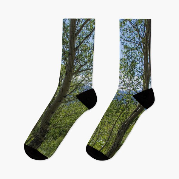 Item preview, Colorado Trail Surrounded by Aspens designed and sold by photosbyalexis.