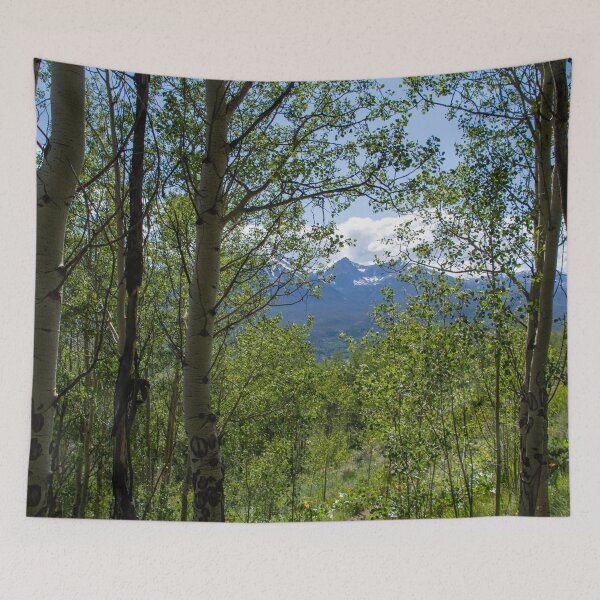 Item preview, Colorado Trail Surrounded by Aspens designed and sold by photosbyalexis.