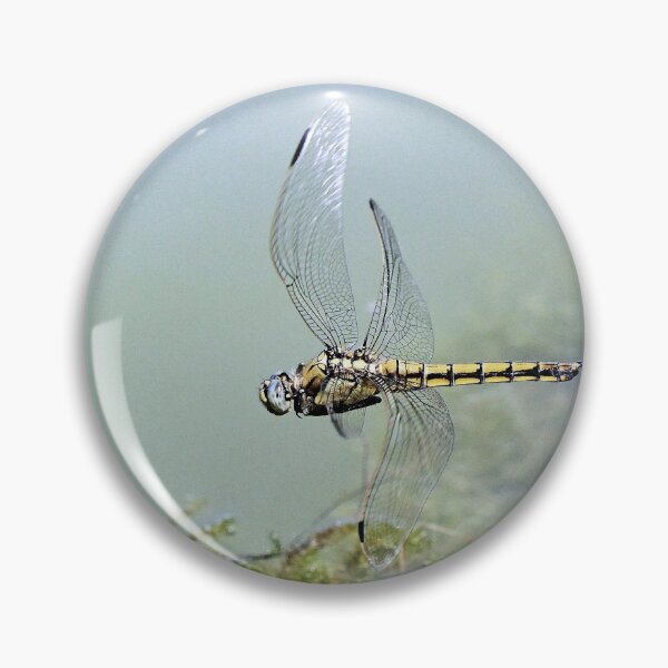 Item preview, 2582/  7  Libellules-Dragonflies " un Vol de Qualité "  finition 2020 par Okaio Créations - Olavia&Olao  designed and sold by o.okaïo.