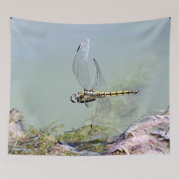 Item preview, 2582/  7  Libellules-Dragonflies " un Vol de Qualité "  finition 2020 par Okaio Créations - Olavia&Olao  designed and sold by o.okaïo.