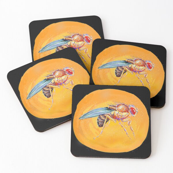 Item preview, Fruit fly (Drosophila melanogaster) designed and sold by thebugladies.