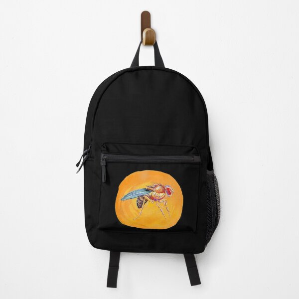 Item preview, Fruit fly (Drosophila melanogaster) designed and sold by thebugladies.