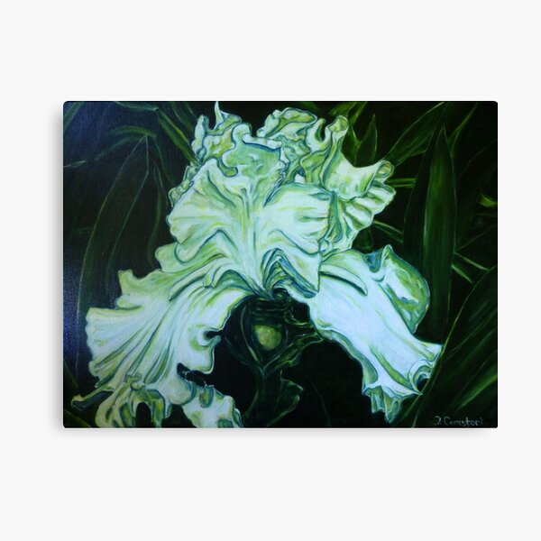One White Iris Canvas Print
