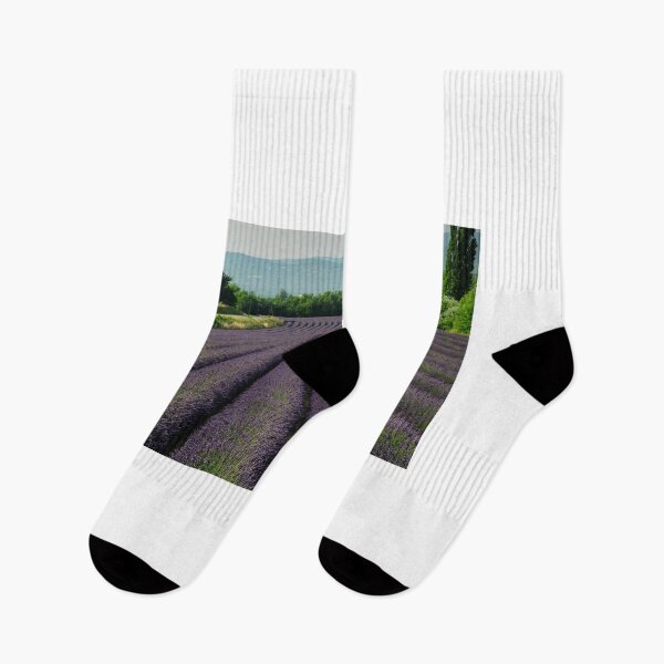 Item preview, Fields of lavender  designed and sold by Nigel  Dean.
