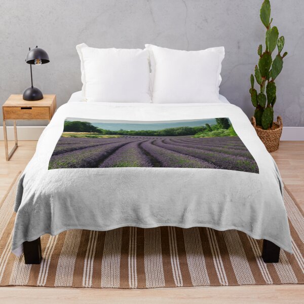 Item preview, Fields of lavender  designed and sold by Nigel  Dean.