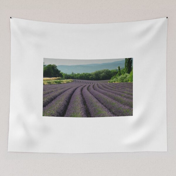 Item preview, Fields of lavender  designed and sold by Nigel  Dean.