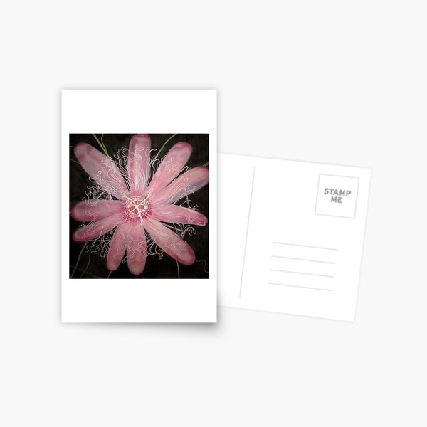 Passion Flower Postcard