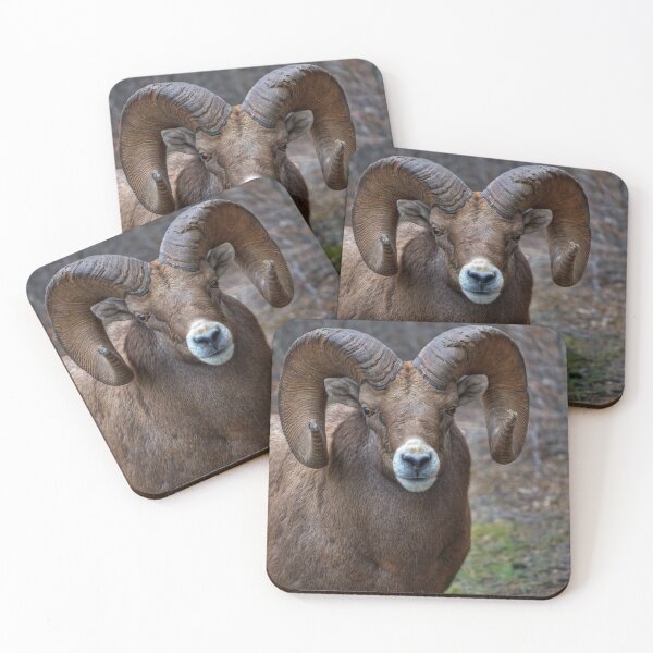 Item preview, Ram is Close designed and sold by James (820Photography) Anderson.