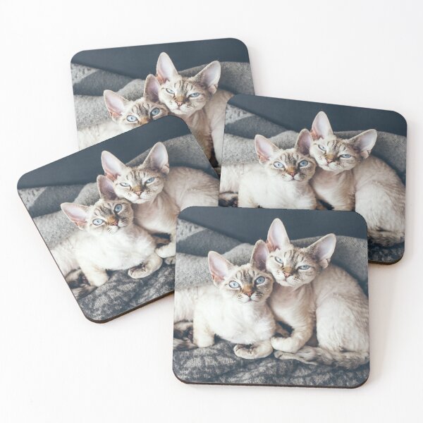 Item preview, Two Devon Rex cats sleeping together on soft blanket  designed and sold by igvee.
