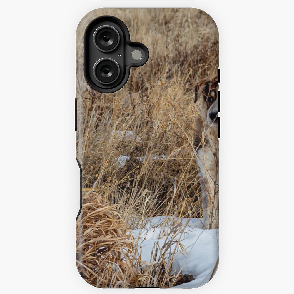 Item preview, iPhone Magsafe Tough Case designed and sold by darren-j-mcleod.