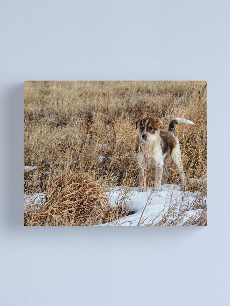 Thumbnail 1 of 3, Canvas Print, Puppy Motivation designed and sold by darren-j-mcleod.