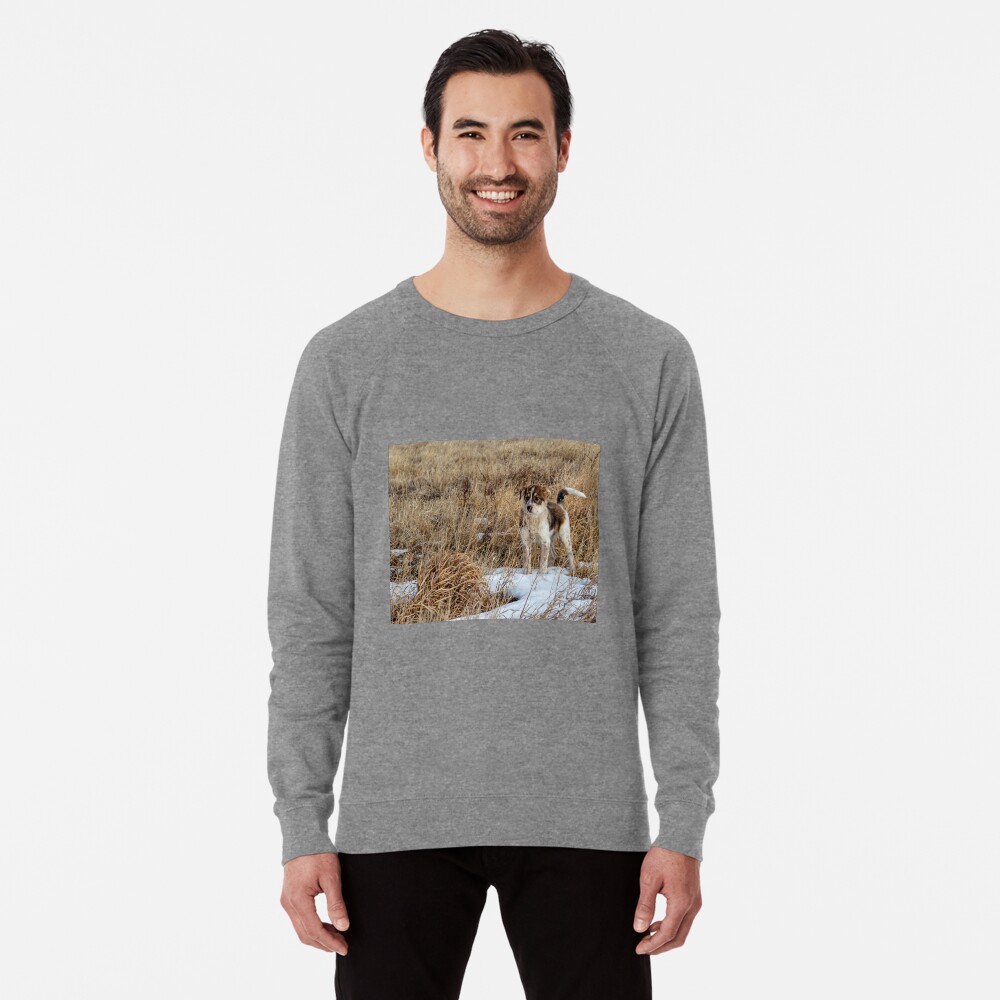 Item preview, Lightweight Sweatshirt designed and sold by darren-j-mcleod.