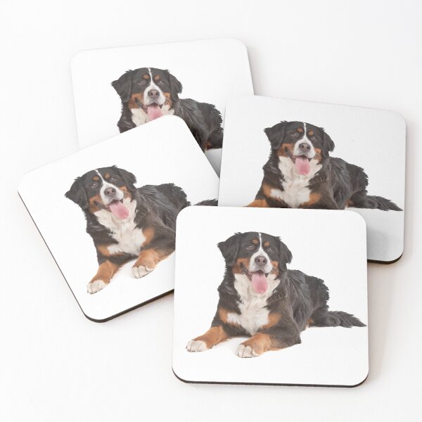 Item preview, Bernese Mountain Dog Cute Face designed and sold by Snow Designer.