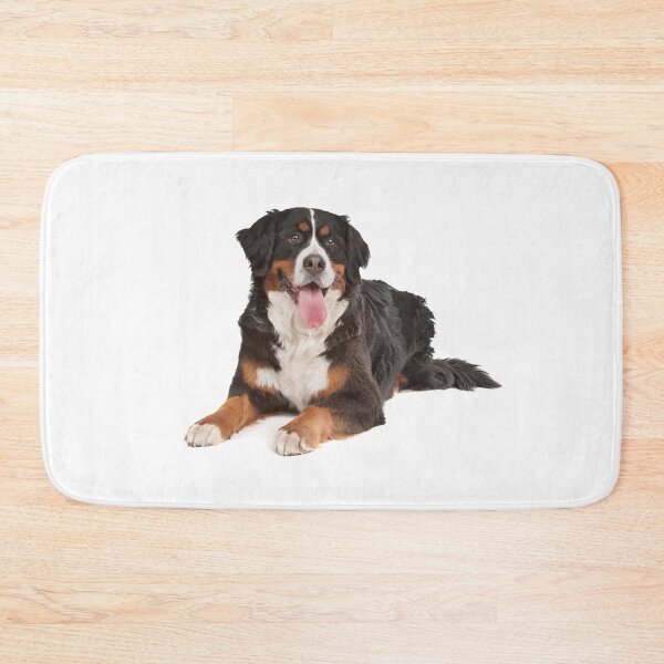 Item preview, Bernese Mountain Dog Cute Face designed and sold by Snow Designer.
