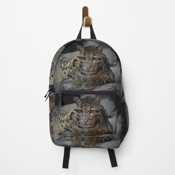 Item preview, Leopard Cub designed and sold by Savannah Gibbs.