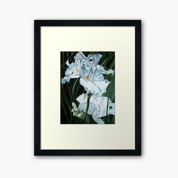 White Irises Framed Art Print