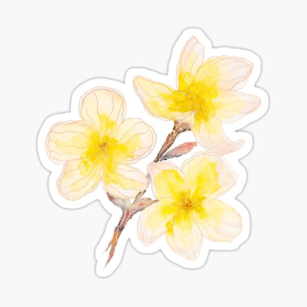 Plumeria Sticker