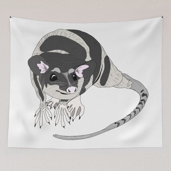 Item preview, Sarigue aquatic opossum yapok designed and sold by NatureNature.