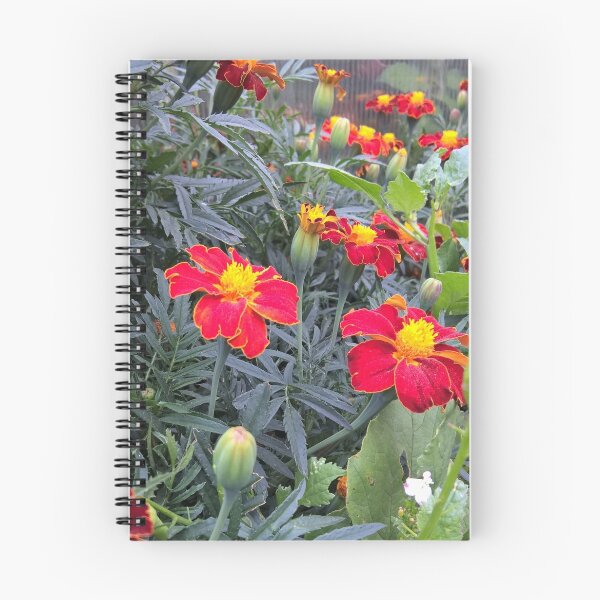 Item preview, Marigold flowers in autumn designed and sold by redgray.