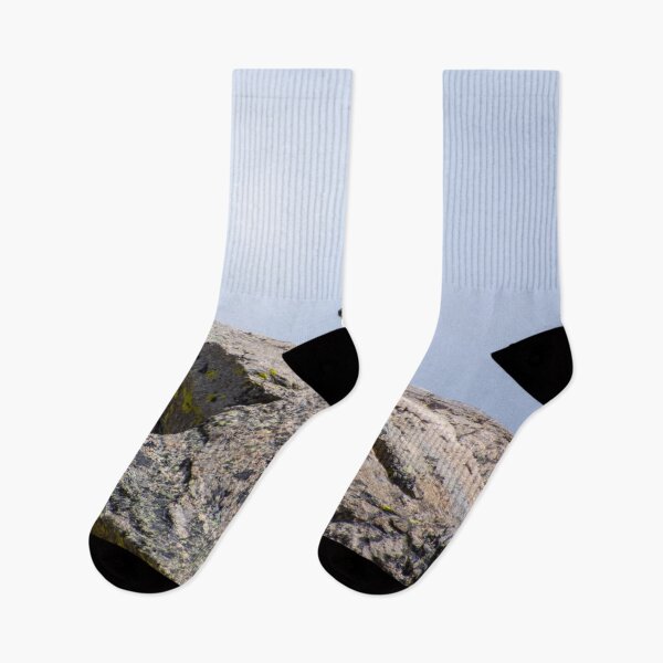 Item preview, Marmot on Rock designed and sold by photosbyalexis.