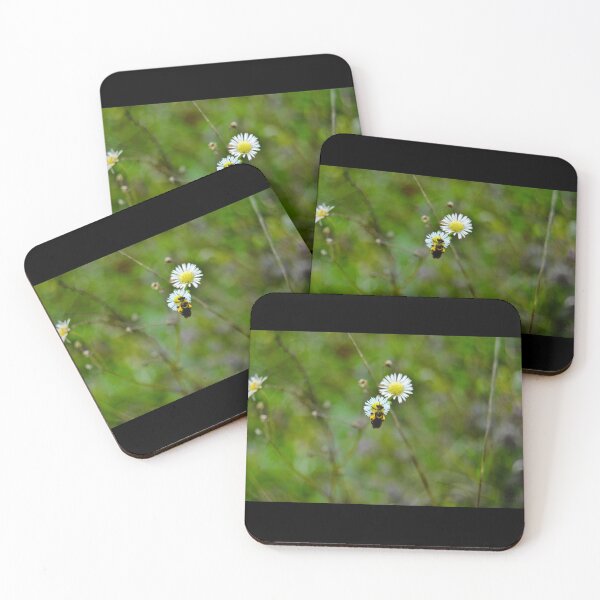Item preview, Baby Bumble Bee on a White Daisy designed and sold by Robert Link.