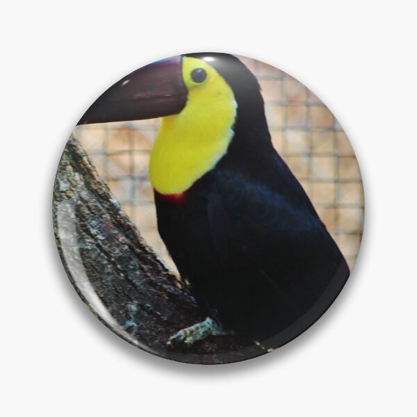 Item preview, Swainson's Toucan designed and sold by Cynthia48.