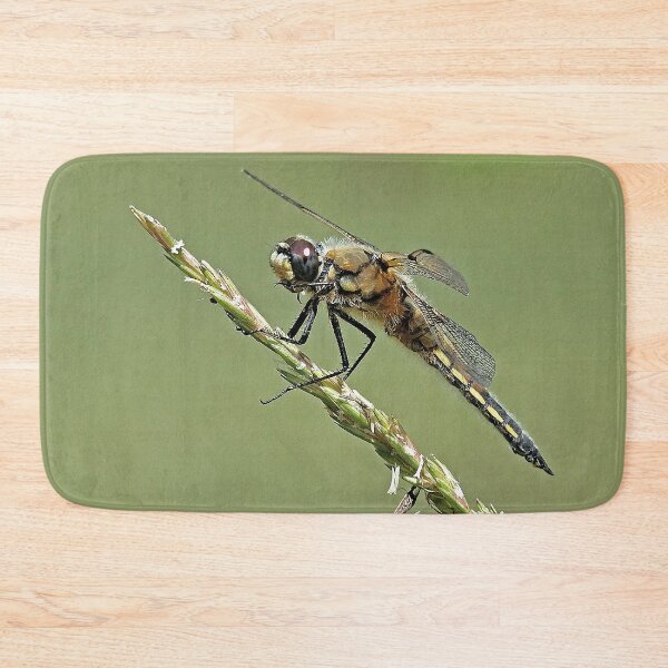 Item preview, 2583/  8  Libellules-Dragonflies " Un Corps en Velours doux ! "  finition 2020 par Okaio Créations - Olavia&Olao  designed and sold by o.okaïo.