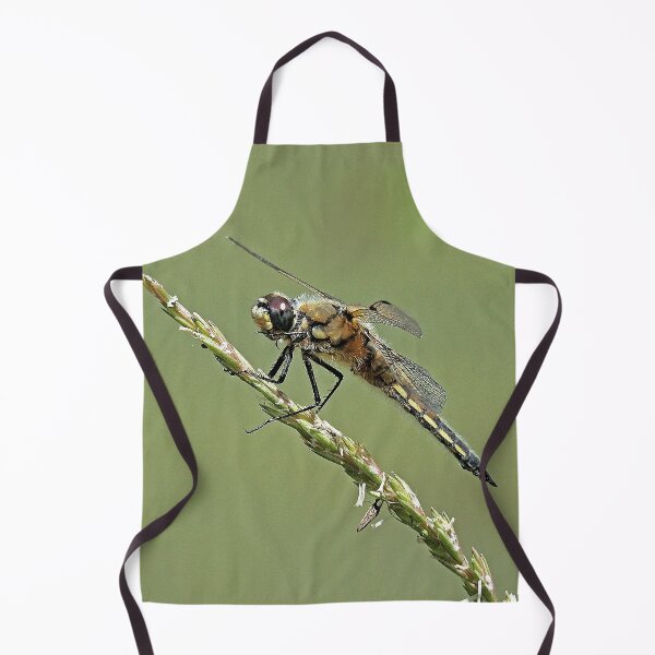 Item preview, 2583/  8  Libellules-Dragonflies " Un Corps en Velours doux ! "  finition 2020 par Okaio Créations - Olavia&Olao  designed and sold by o.okaïo.