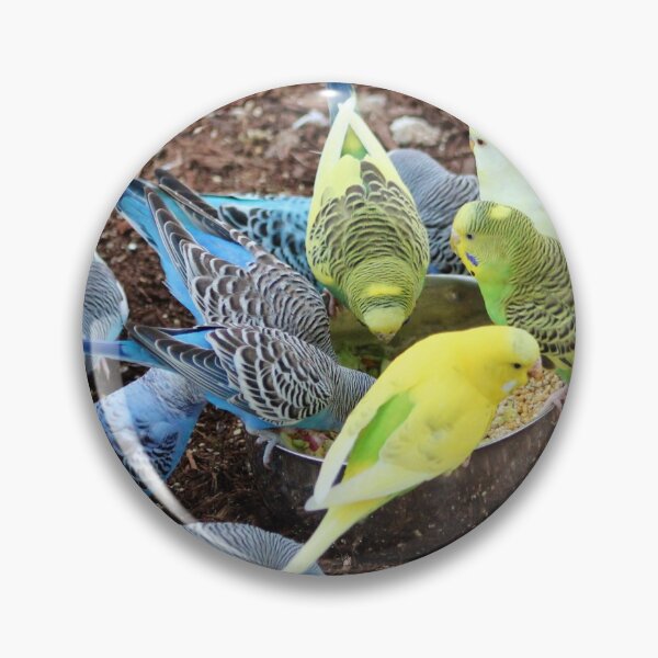 Item preview, Budgie Dive-In designed and sold by Cynthia48.
