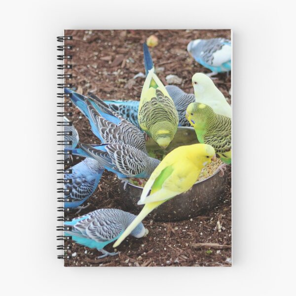 Item preview, Budgie Dive-In designed and sold by Cynthia48.