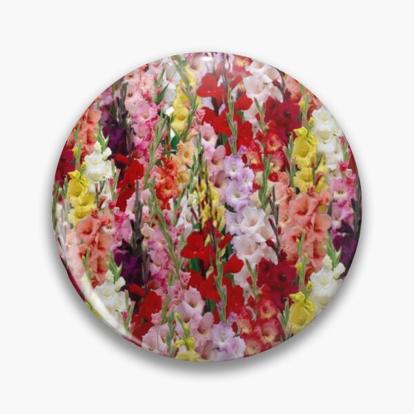 Item preview, Multicolored gladiolus flowers designed and sold by danaJG.