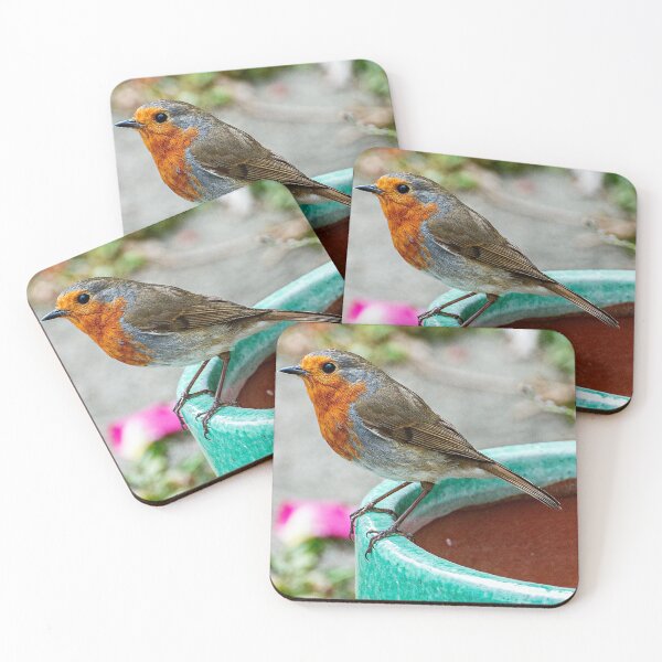 Item preview, Robin Red Breast Bird Photography Poster designed and sold by madein1874.