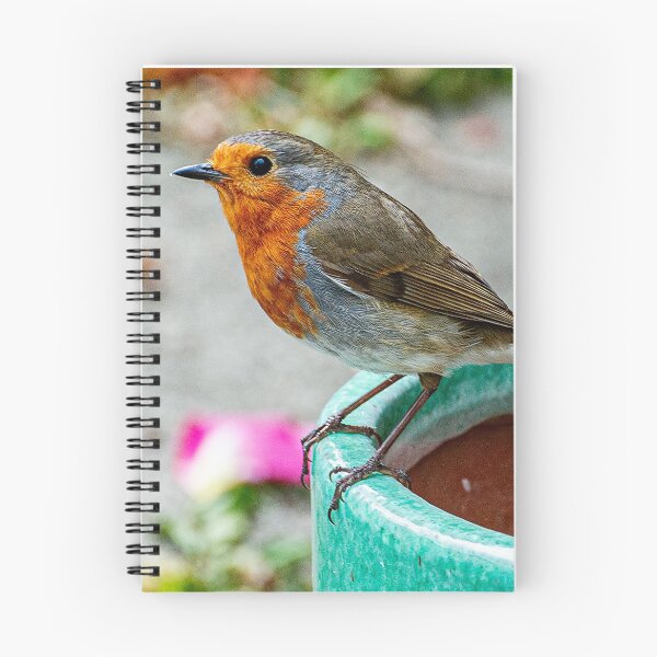 Item preview, Robin Red Breast Bird Photography Poster designed and sold by madein1874.