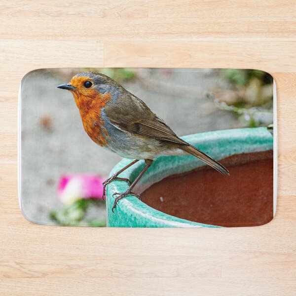 Item preview, Robin Red Breast Bird Photography Poster designed and sold by madein1874.