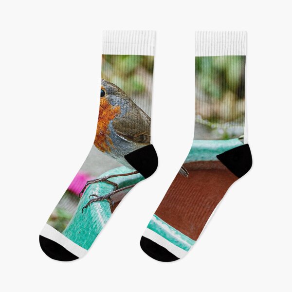 Item preview, Robin Red Breast Bird Photography Poster designed and sold by madein1874.