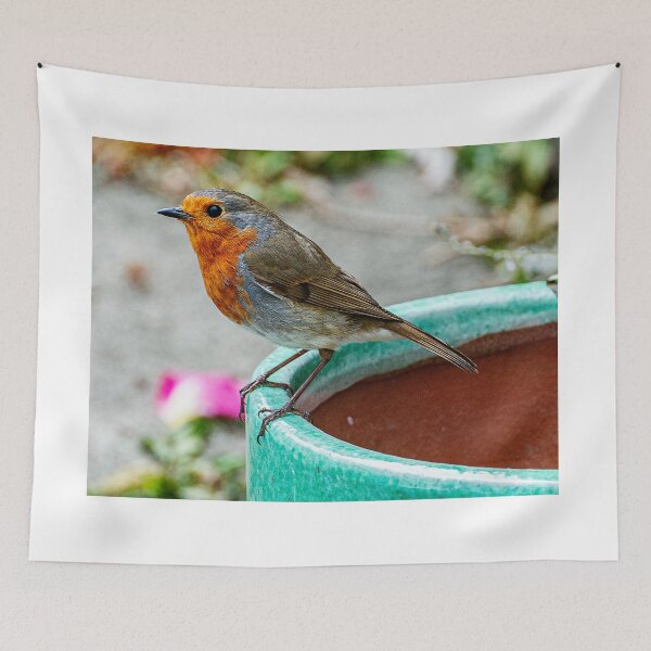 Item preview, Robin Red Breast Bird Photography Poster designed and sold by madein1874.