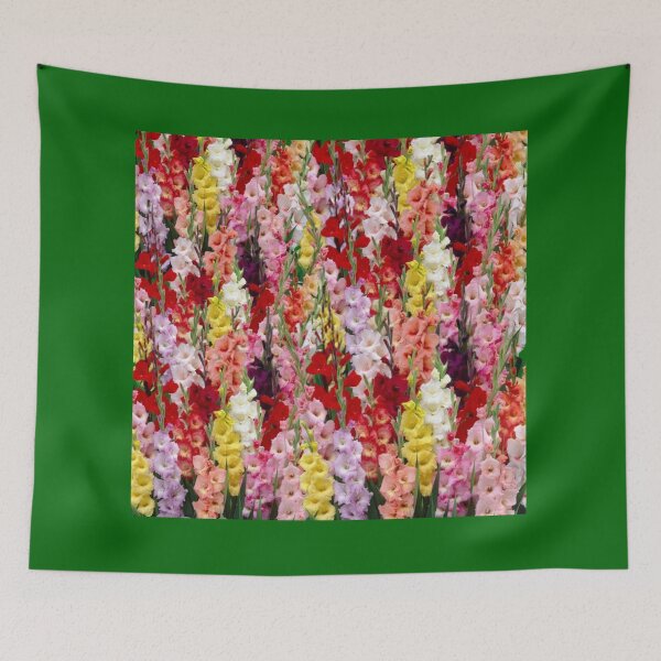 Item preview, Multicolored gladiolus flowers designed and sold by danaJG.