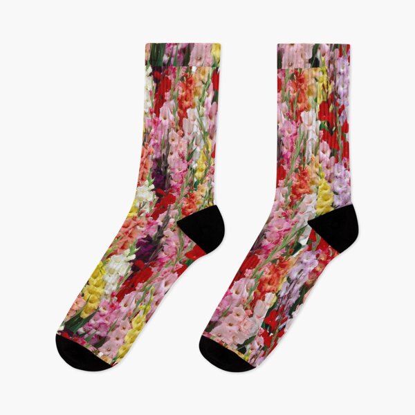 Item preview, Multicolored gladiolus flowers designed and sold by danaJG.