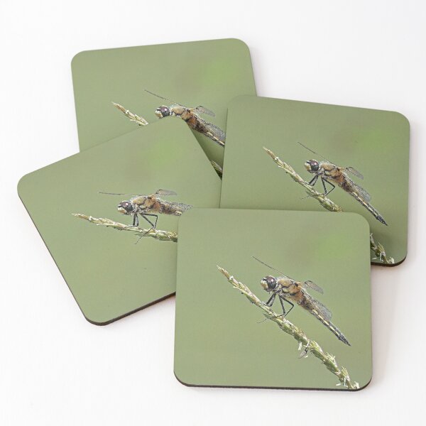 Item preview, 2583/  8  Libellules-Dragonflies " Un Corps en Velours doux ! "  finition 2020 par Okaio Créations - Olavia&Olao  designed and sold by o.okaïo.