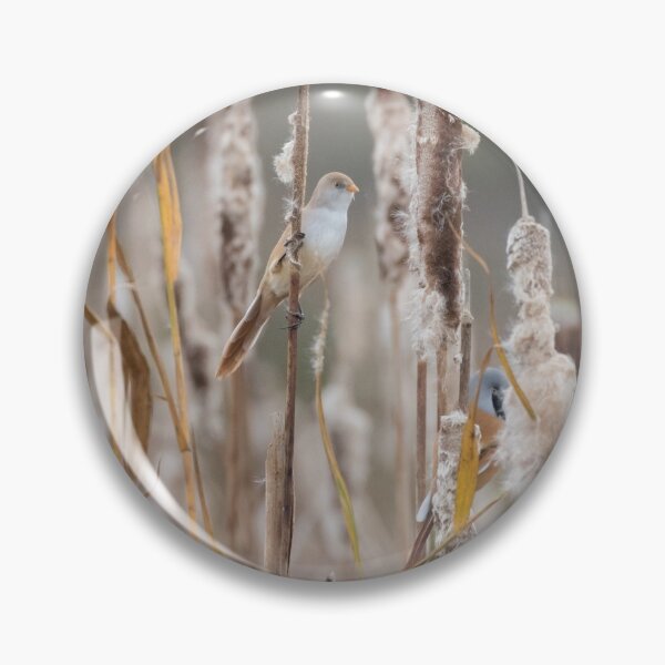 Item preview, Bearded Tit designed and sold by LaurenTucker.