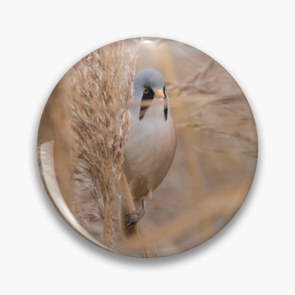 Item preview, Bearded Tit designed and sold by LaurenTucker.