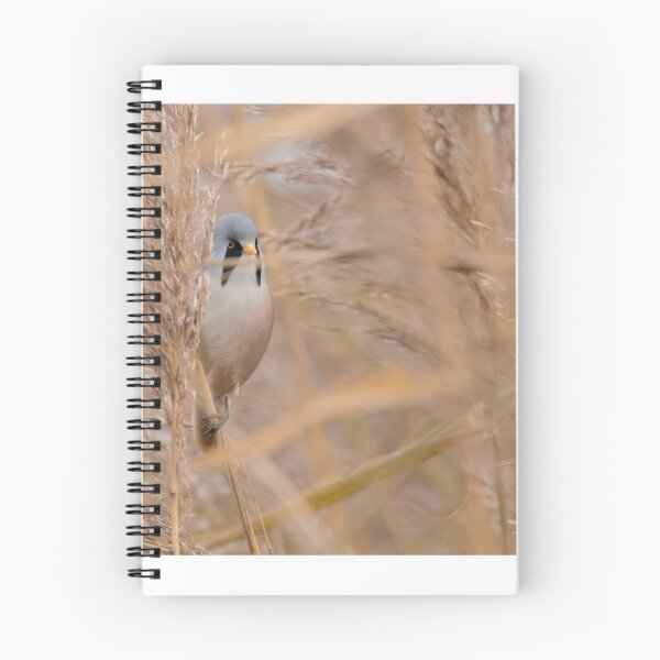 Item preview, Bearded Tit designed and sold by LaurenTucker.