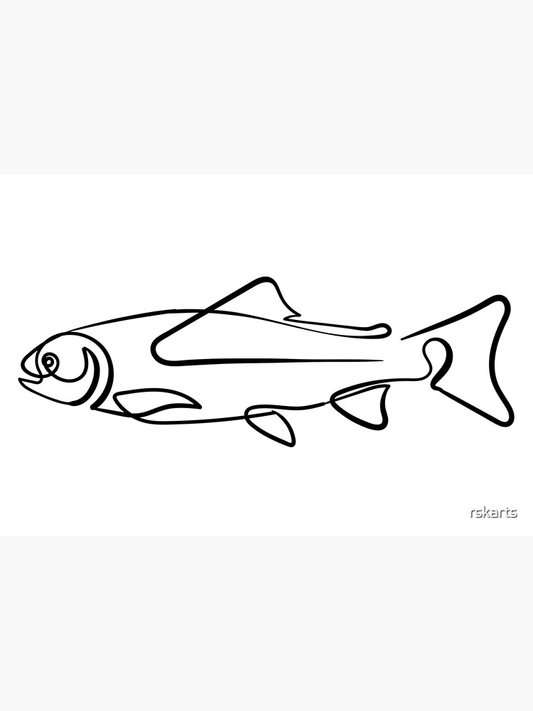 Continuous line trout drawing  Art Board Print for Sale by