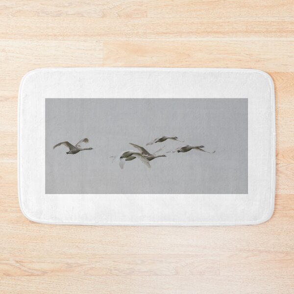 Item preview, Mute Swan designed and sold by LaurenTucker.