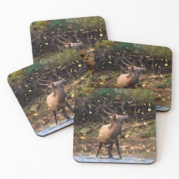 Item preview, The Wonder of Falling Leaves  designed and sold by Karen Peron.