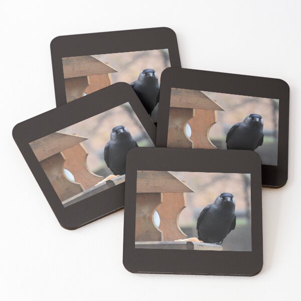 Item preview, Are you looking at me......... designed and sold by lynn carter.
