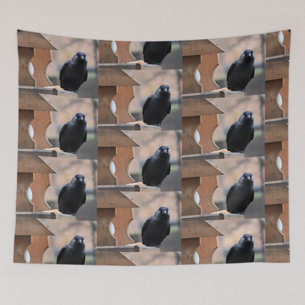 Item preview, Are you looking at me......... designed and sold by lynn carter.