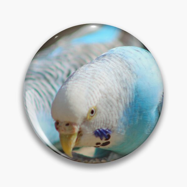 Item preview, Budgies Snacking designed and sold by Cynthia48.